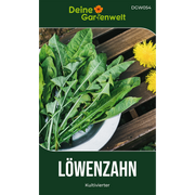 Löwenzahn Kultivierter