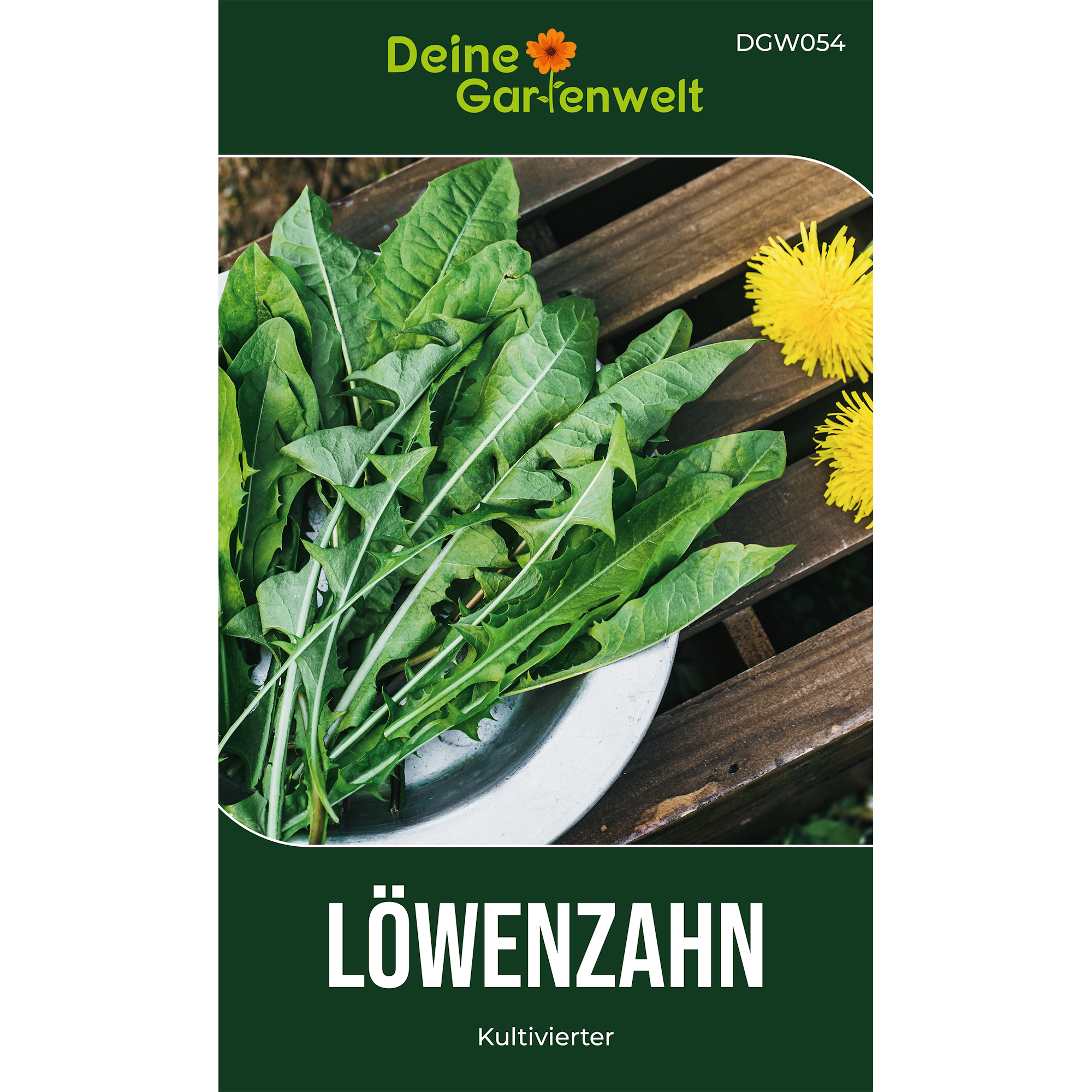 Löwenzahn Kultivierter