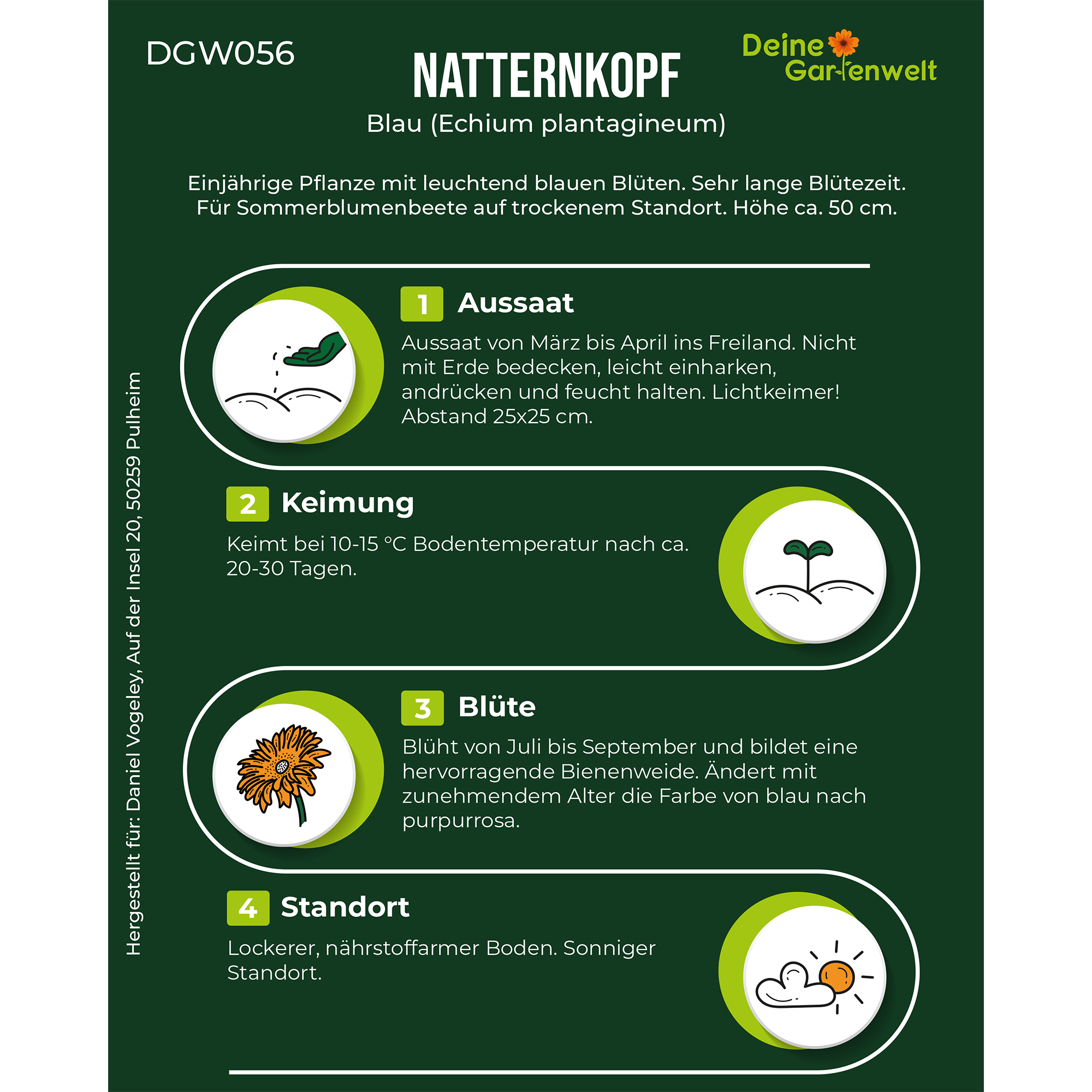 Natternkopf blau