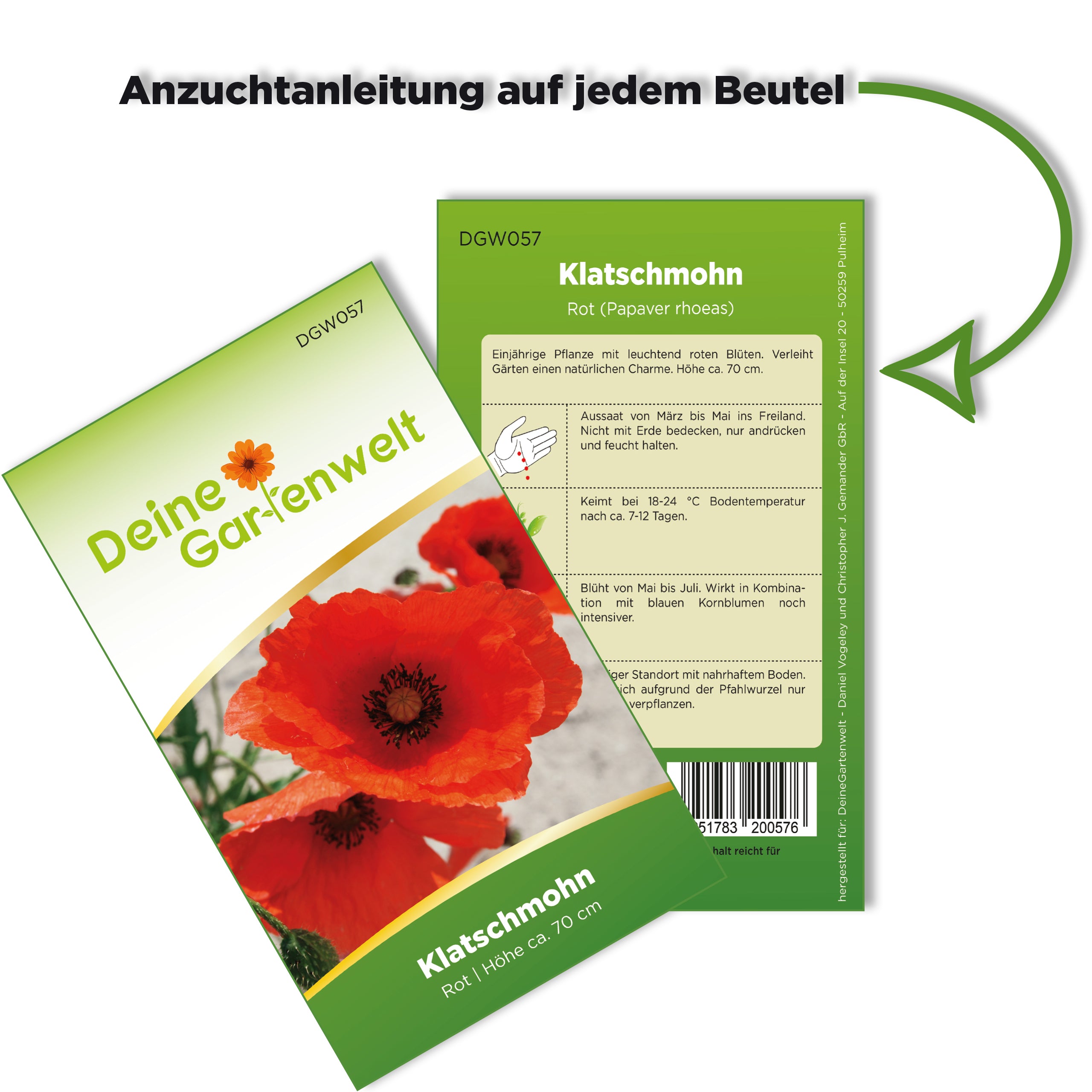 Klatsch-Mohn rot
