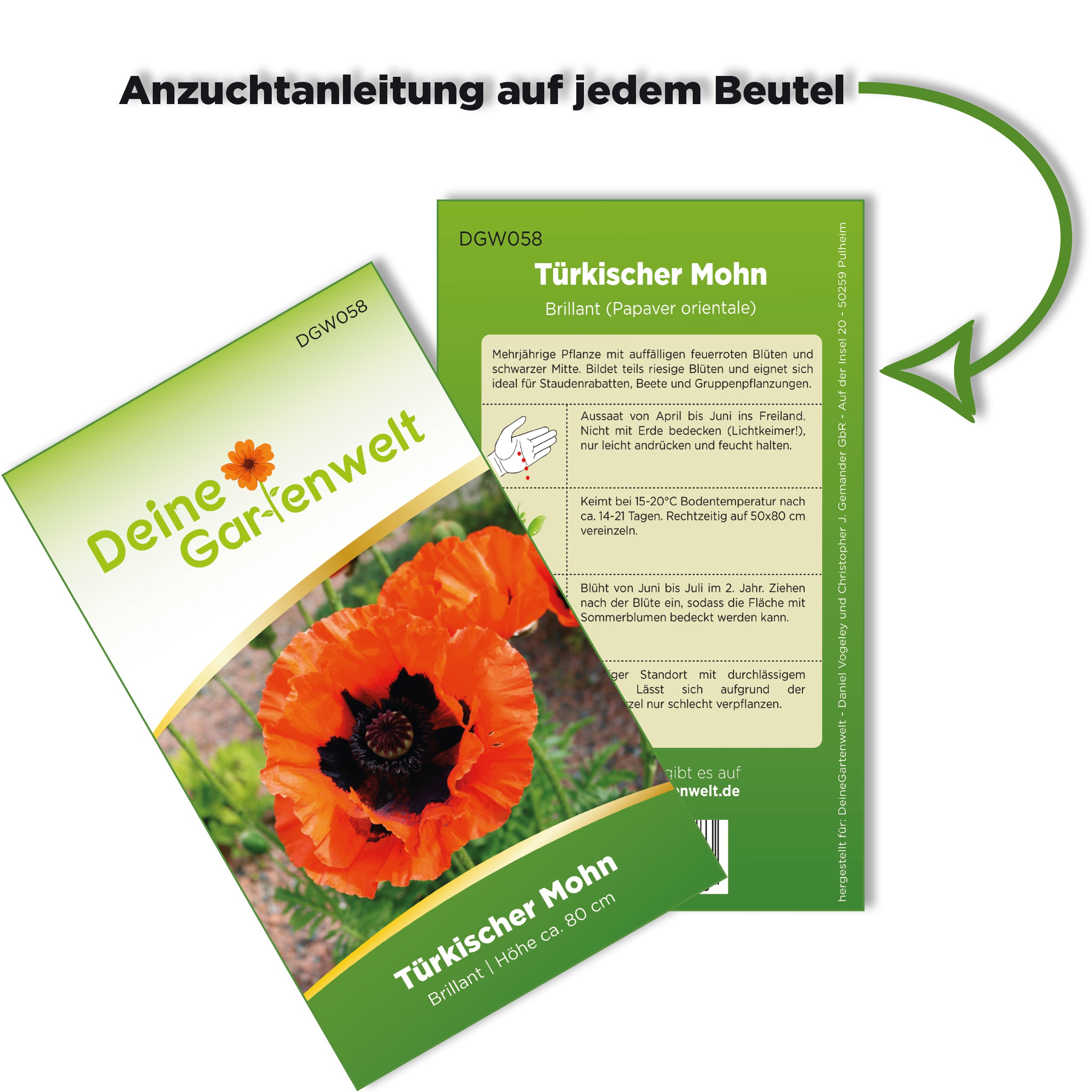 Türkischer Mohn