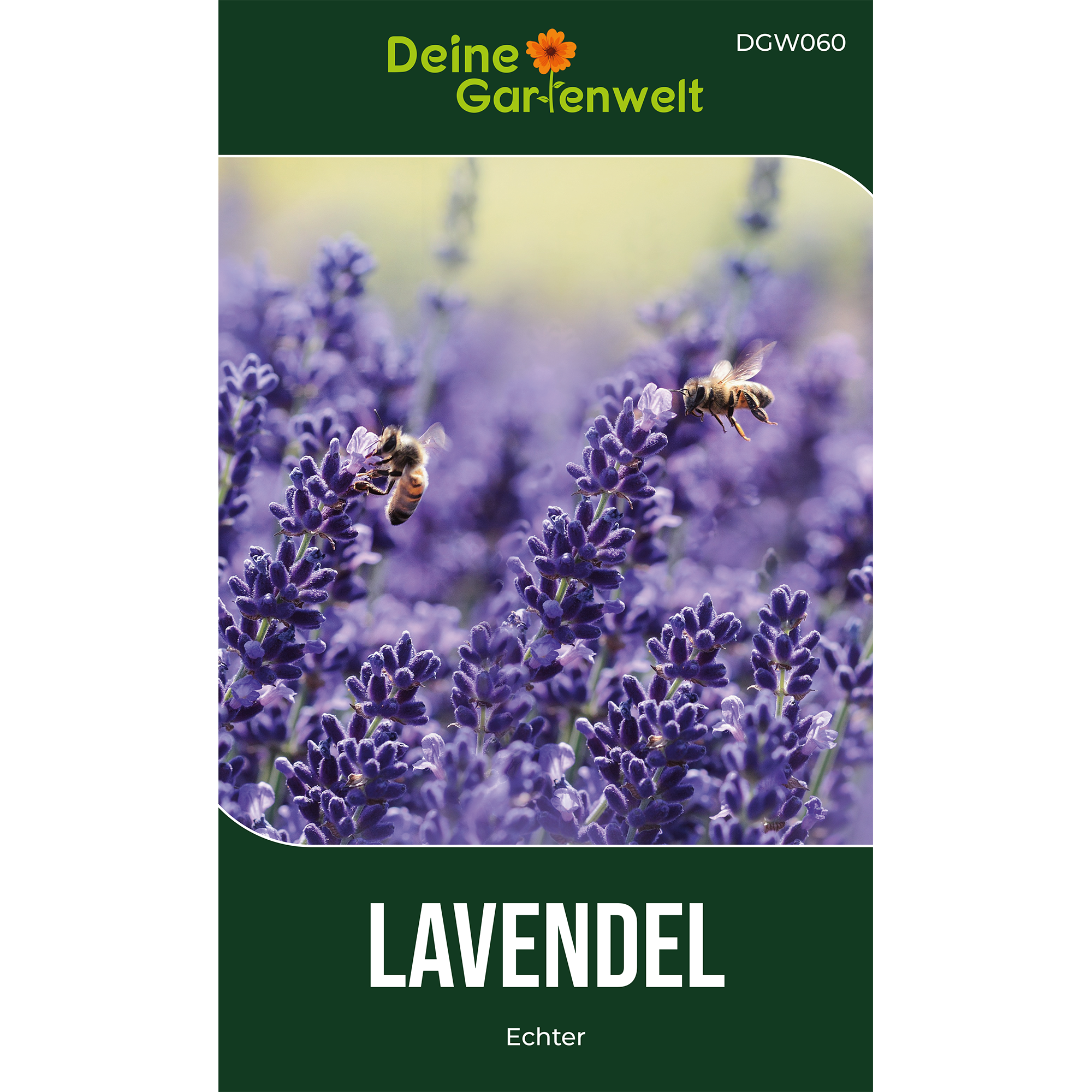 Lavendel Echter