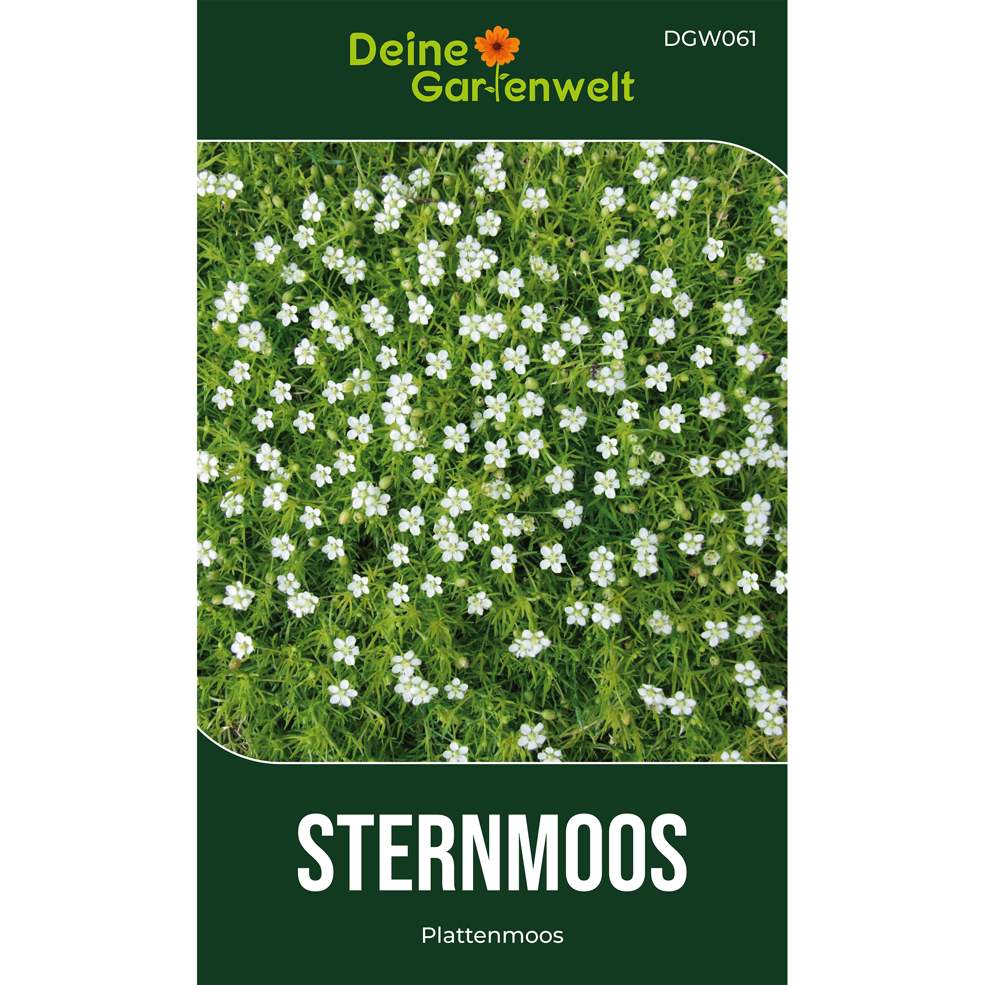 Mastkraut - Plattenmoos