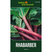 Rhabarber rot
