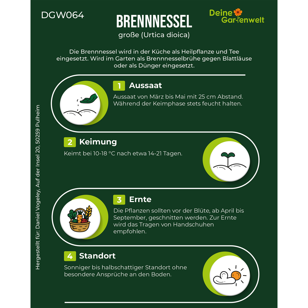 Brennnessel große Saatgut