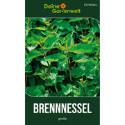 Brennnessel große Saatgut