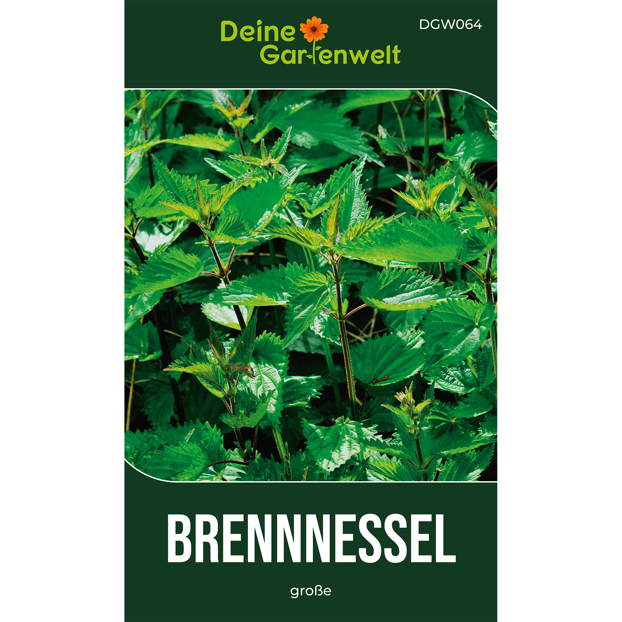 Brennnessel große Saatgut