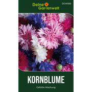Kornblumen Gefüllte Mischung