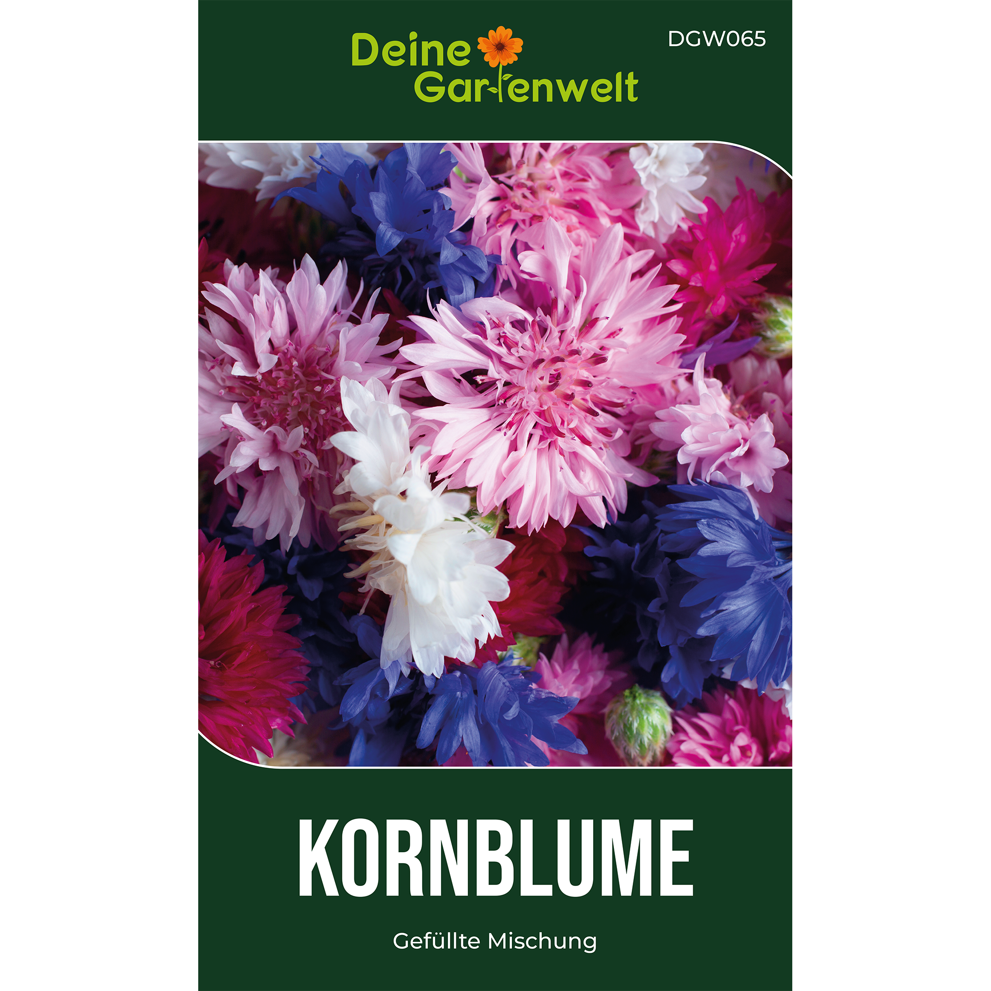 Kornblumen Gefüllte Mischung