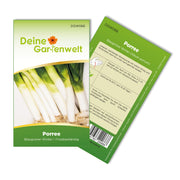 Porree Lauch Blaugrüner Winter