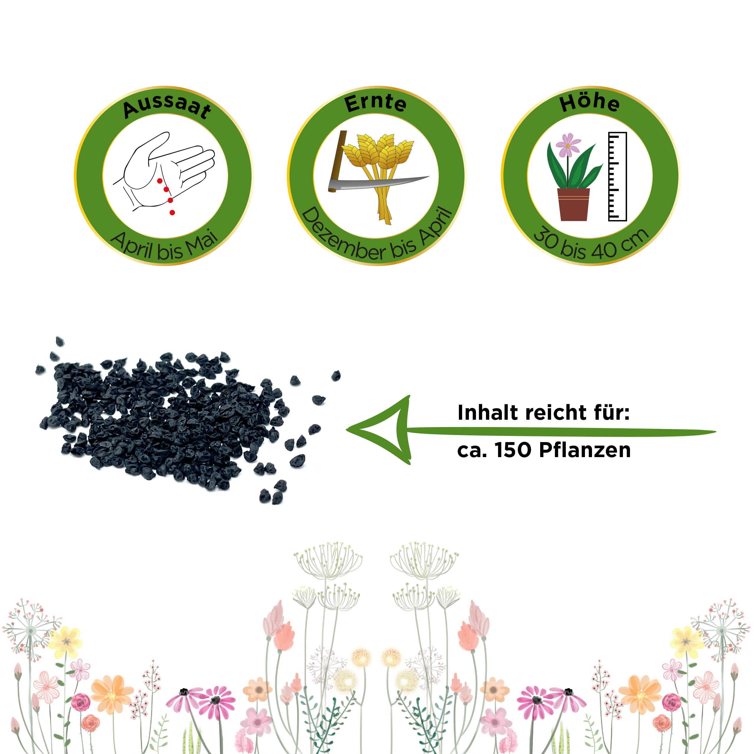 Porree Lauch Blaugrüner Winter