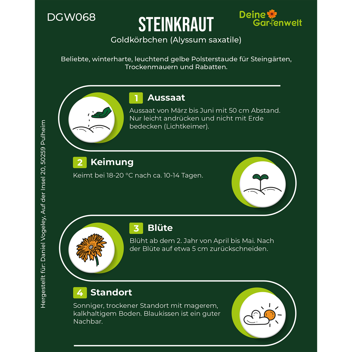 Steinkraut Goldkörbchen Saatgut