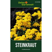 Steinkraut Goldkörbchen Saatgut