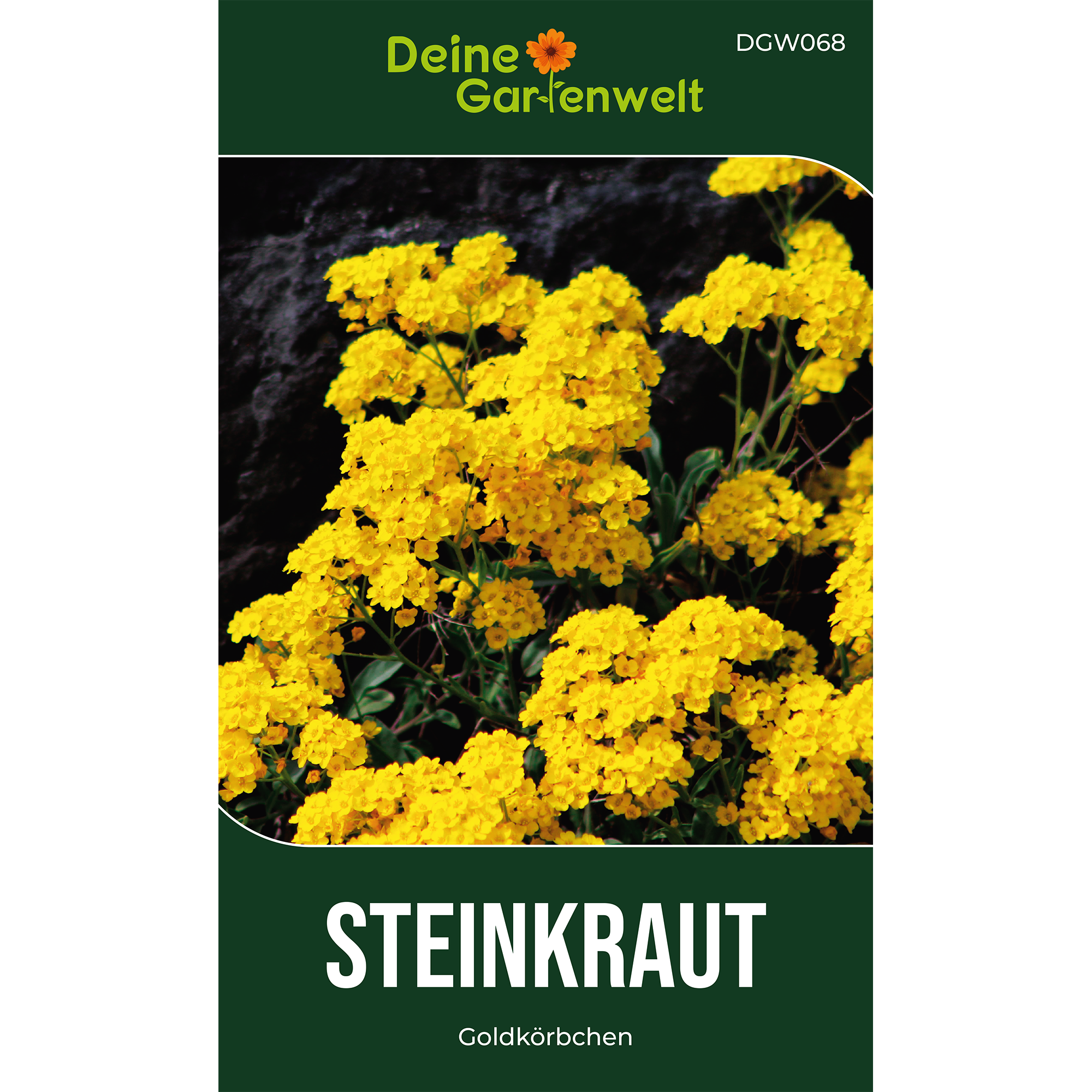 Steinkraut Goldkörbchen Saatgut