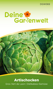 Artischocken Gros Vert de Laon