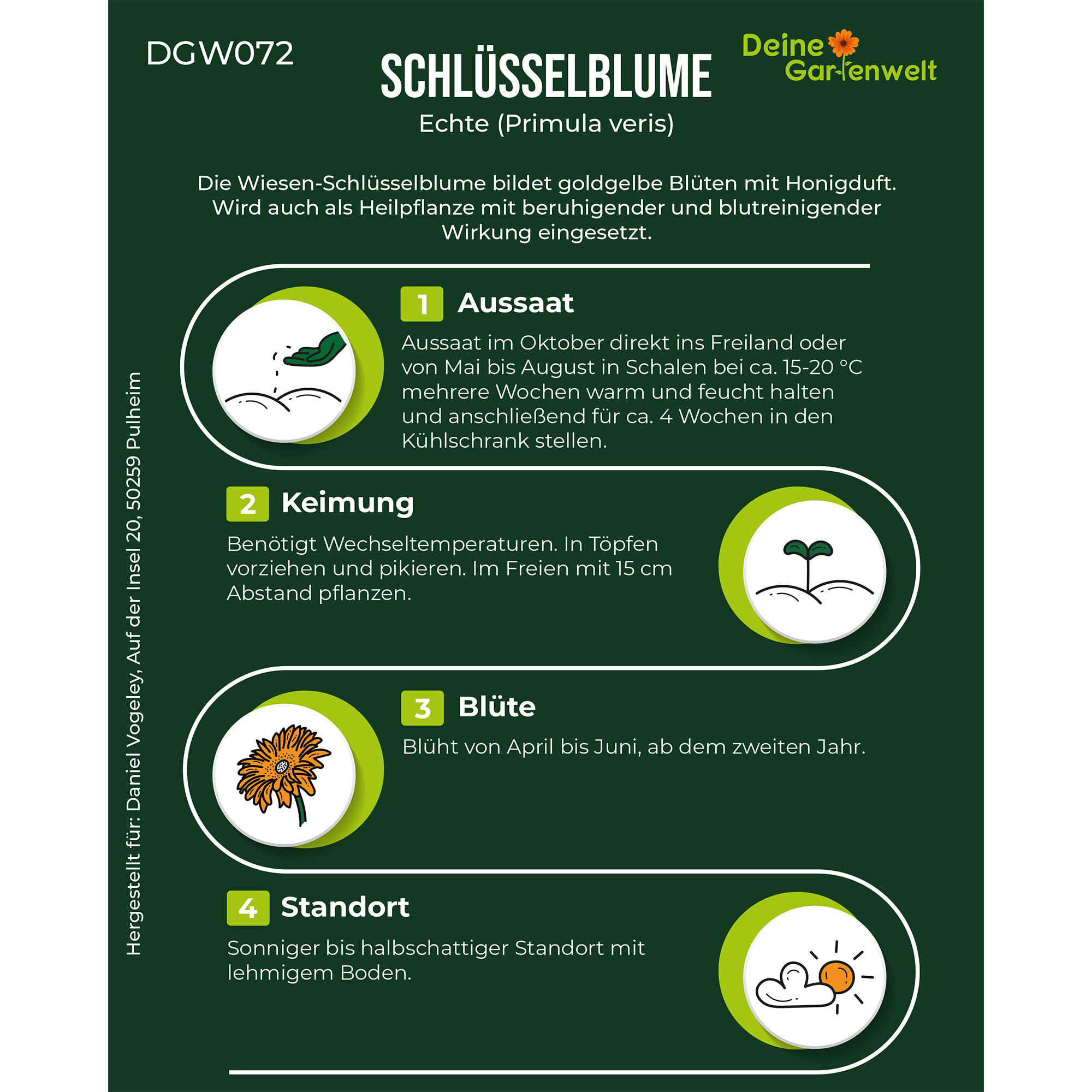 Wiesen-Schlüsselblume