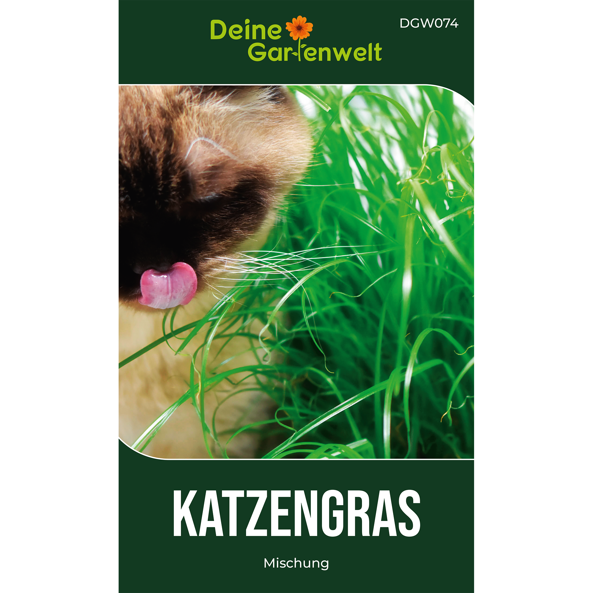 Katzengras Mischung Saatgut