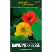 Kapuzinerkresse Rankende Mischung