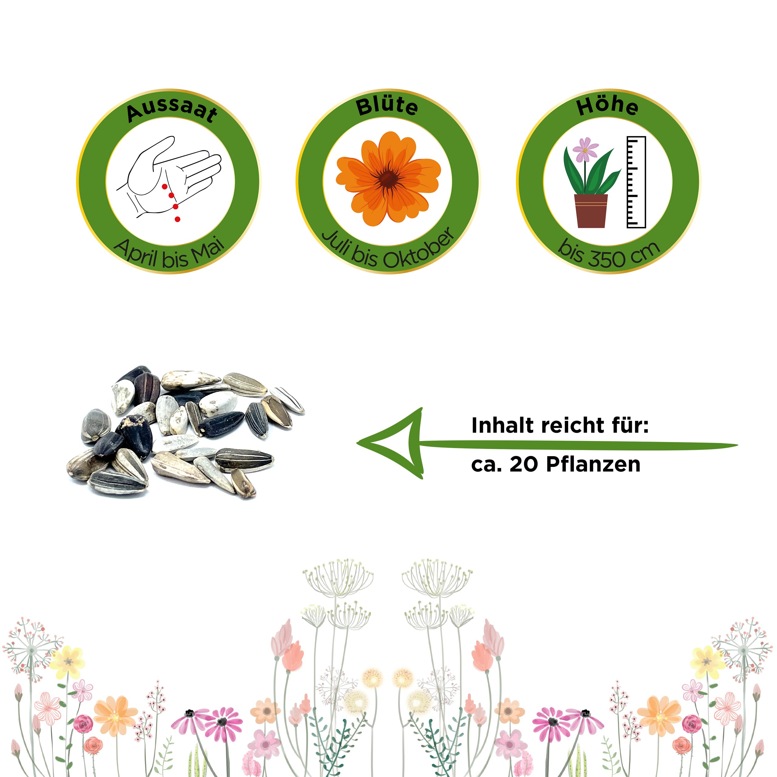 Sonnenblumen Einfache Riesen