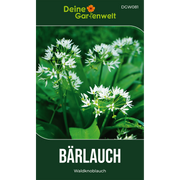 Bärlauch