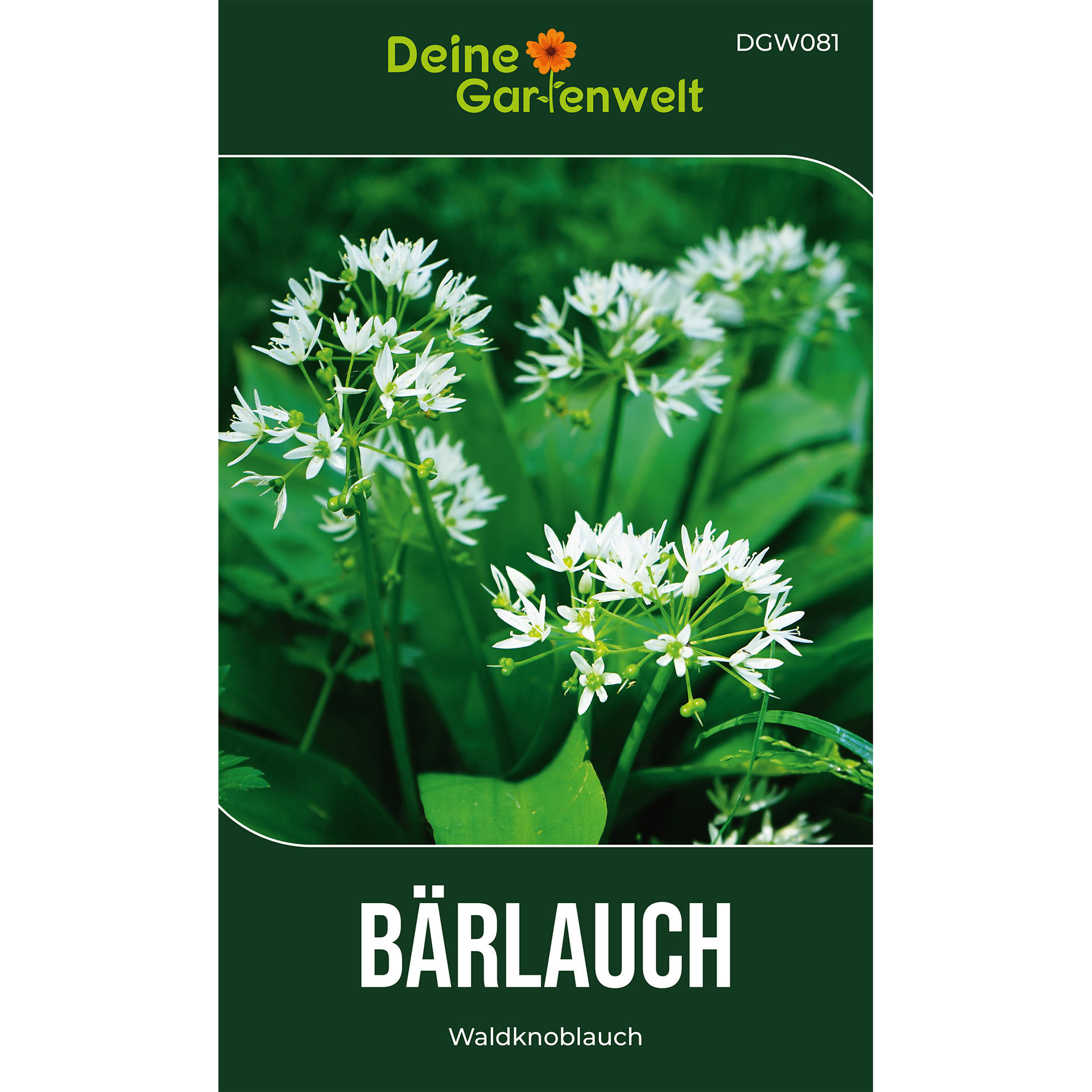 Bärlauch – Kräutersamen online kaufen