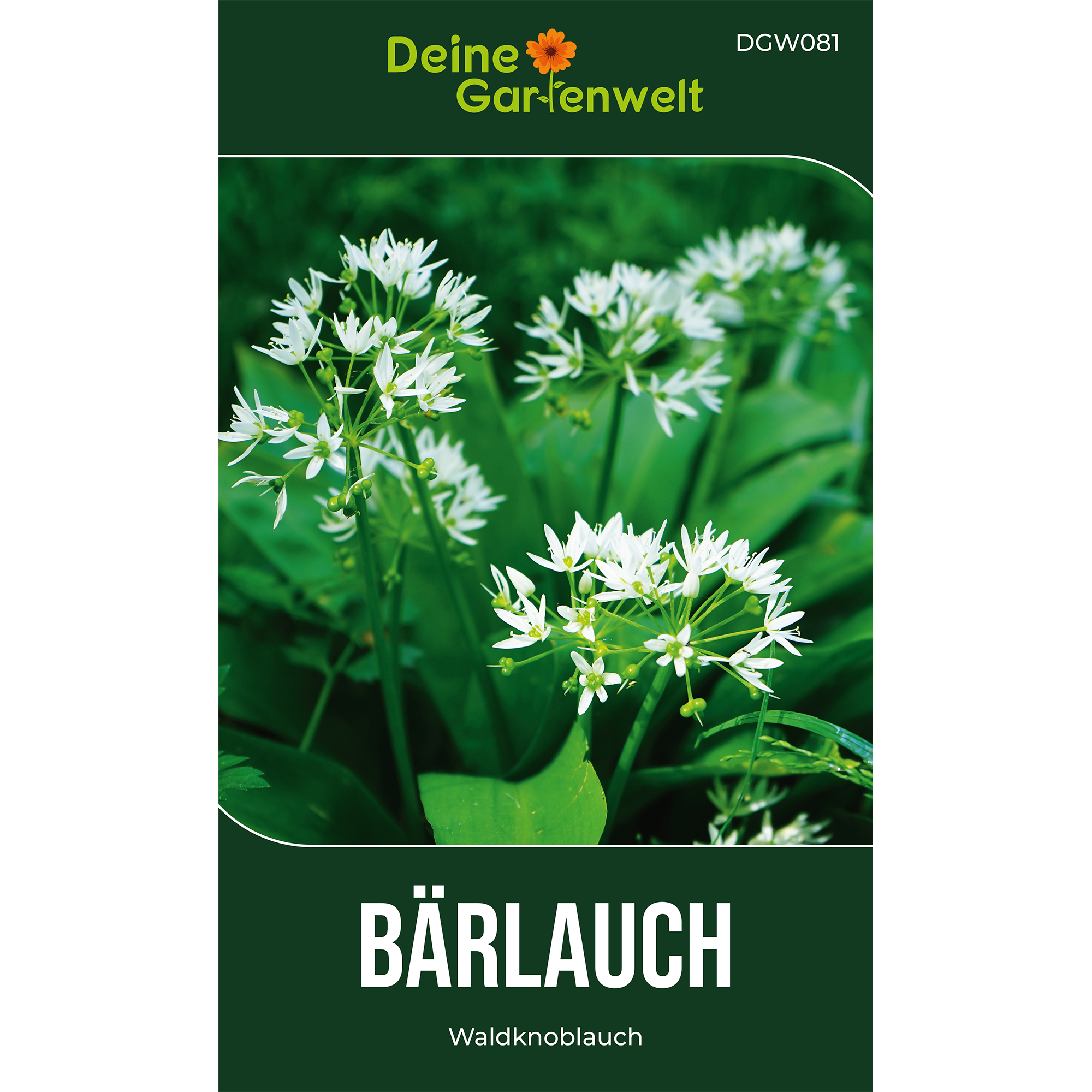 Bärlauch