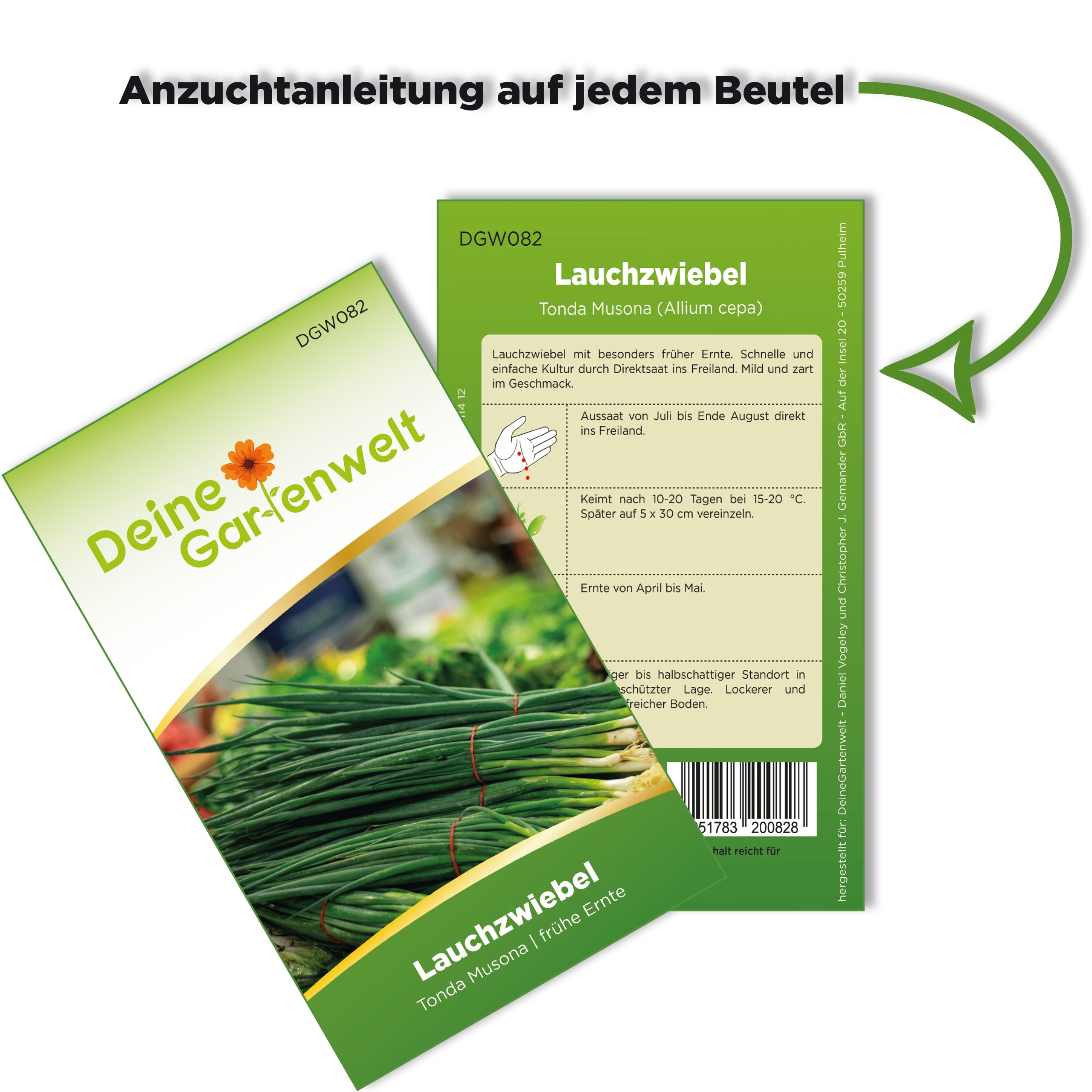 Lauchzwiebeln Tonda musona