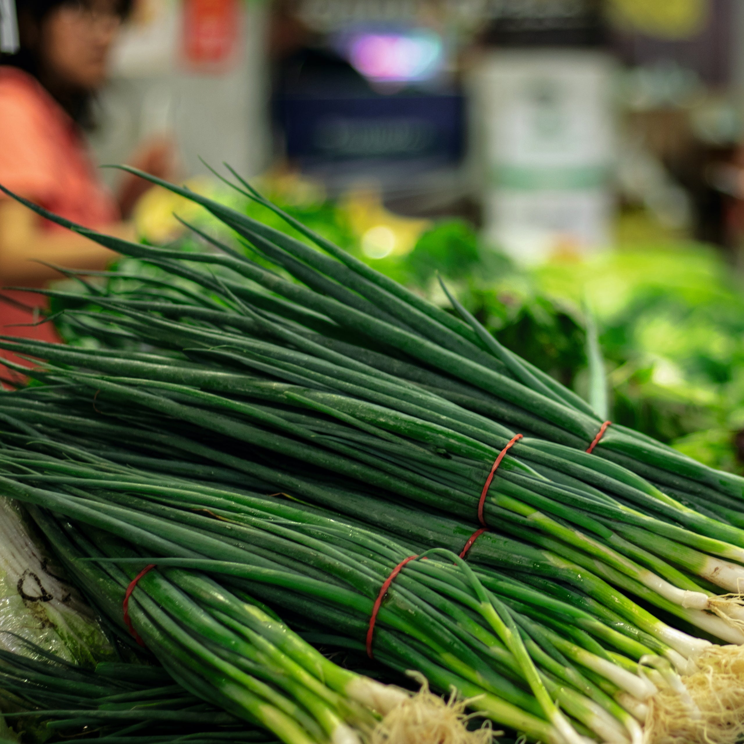 Lauchzwiebeln Tonda musona