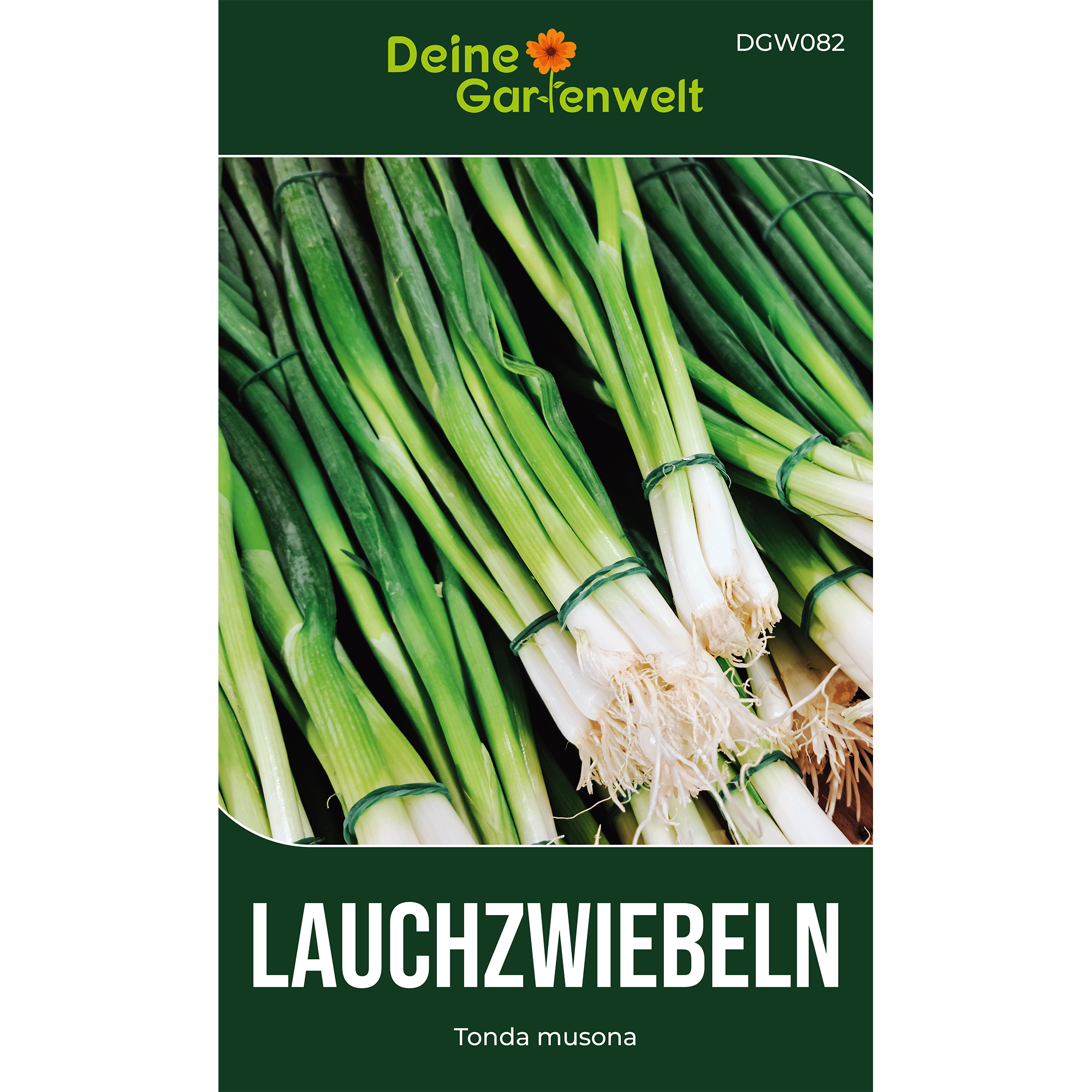 Lauchzwiebeln Tonda musona