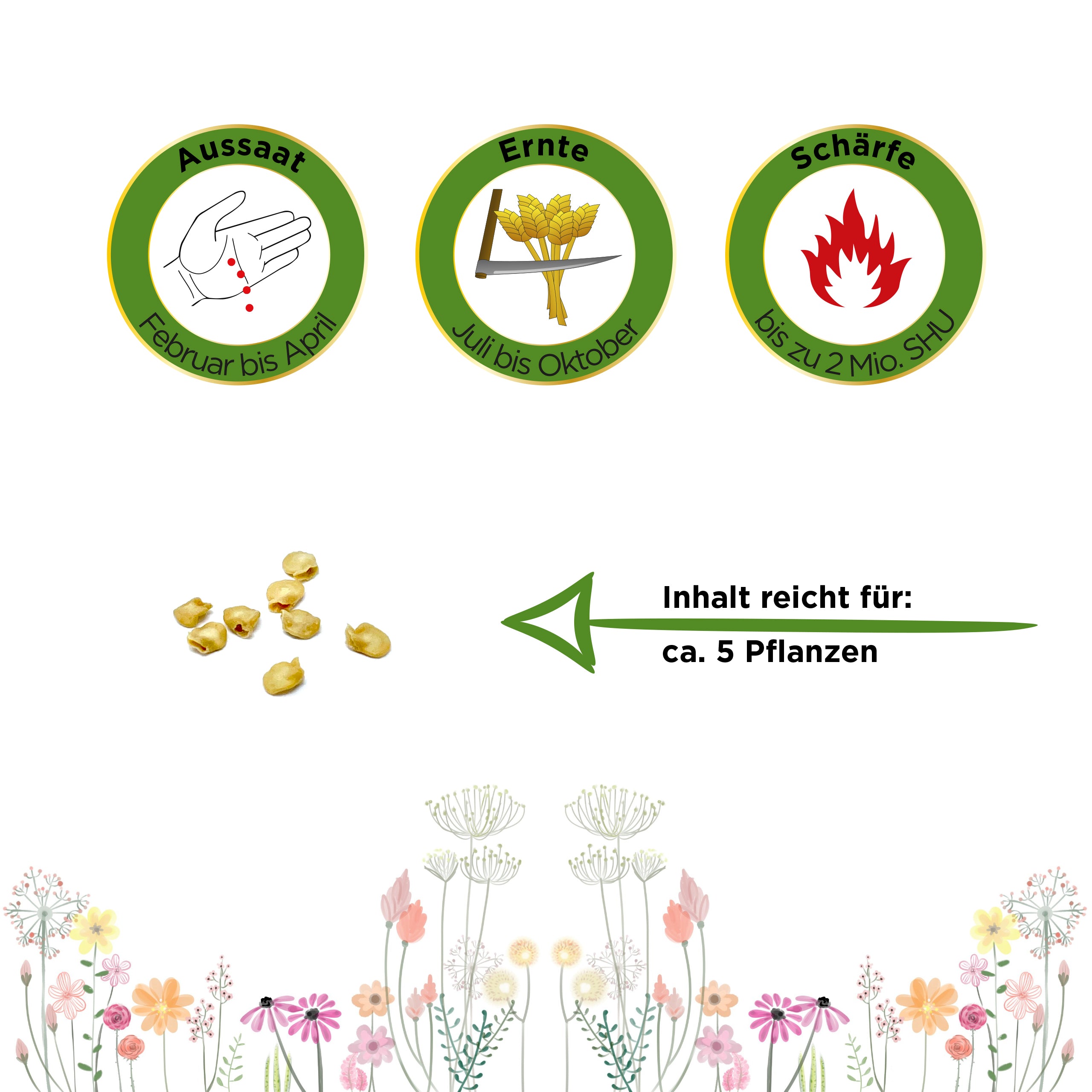 Chili Trinidad Moruga Scorpion