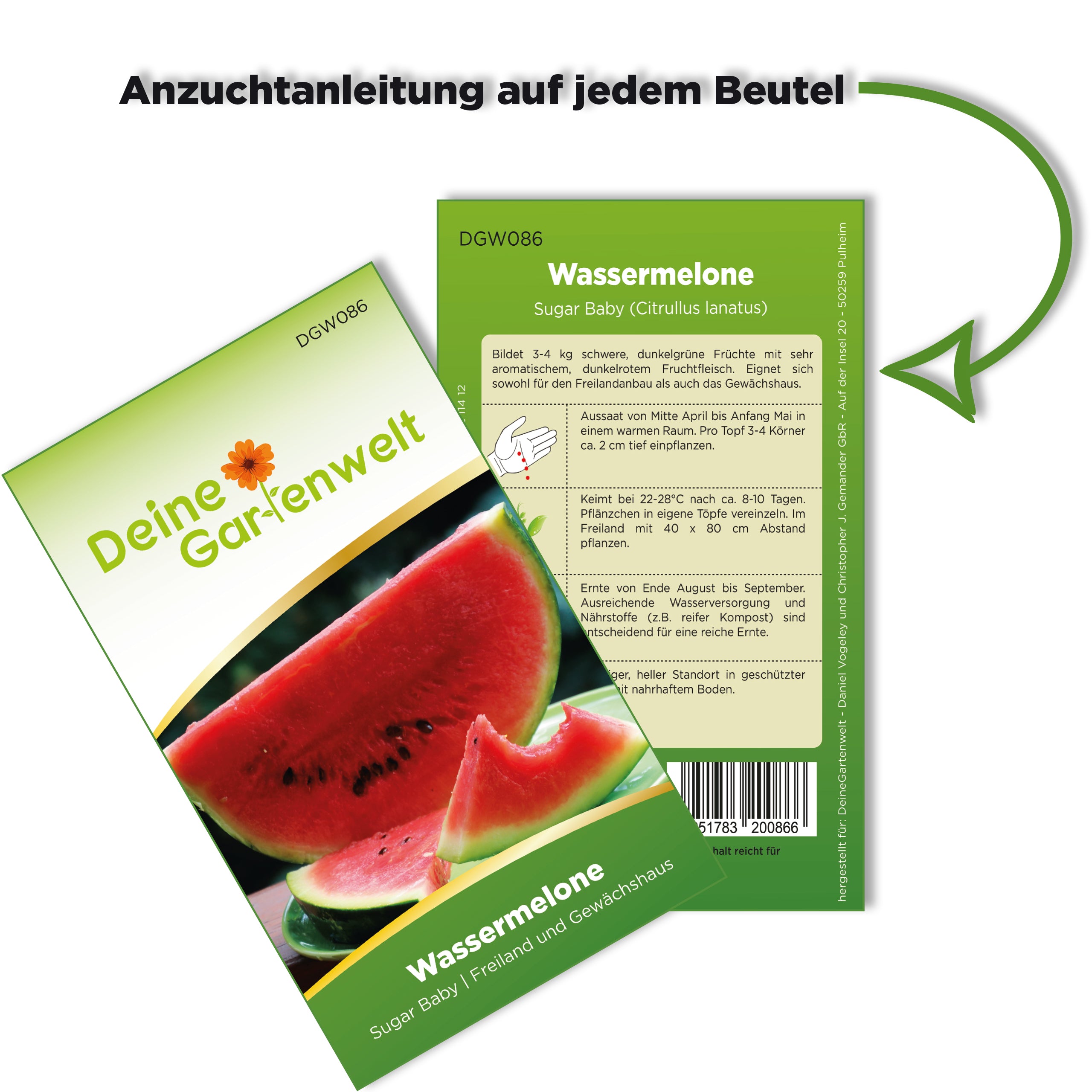 Wassermelonen Sugar Baby