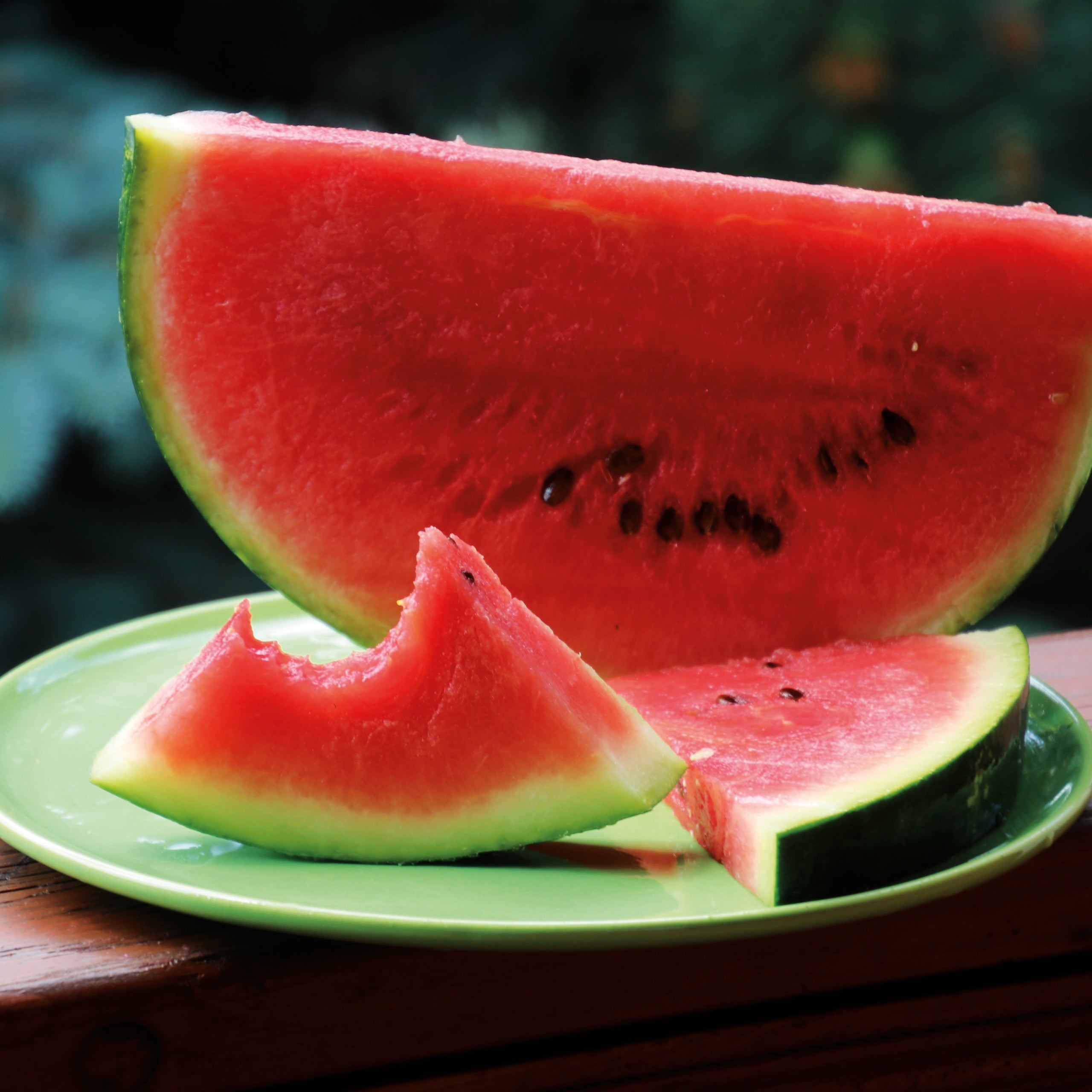 Wassermelonen Sugar Baby