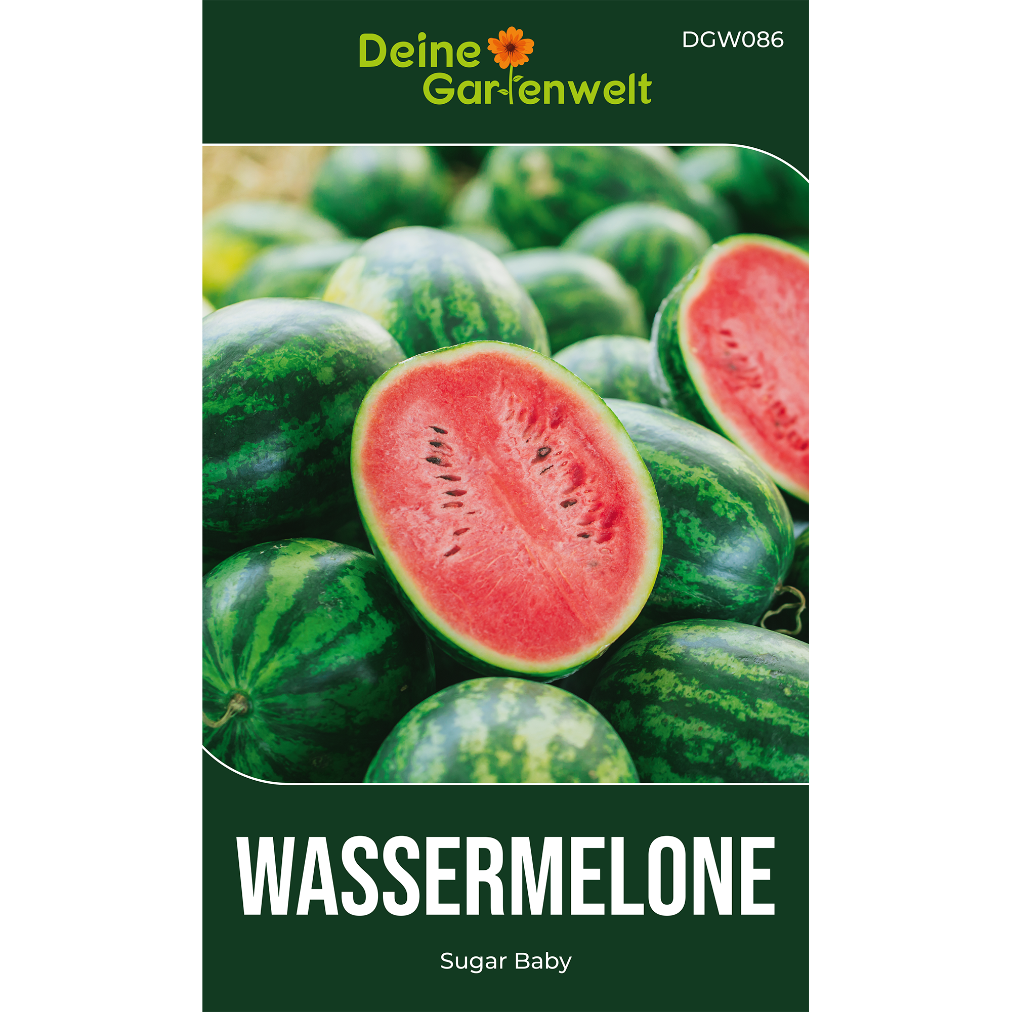 Wassermelonen Sugar Baby