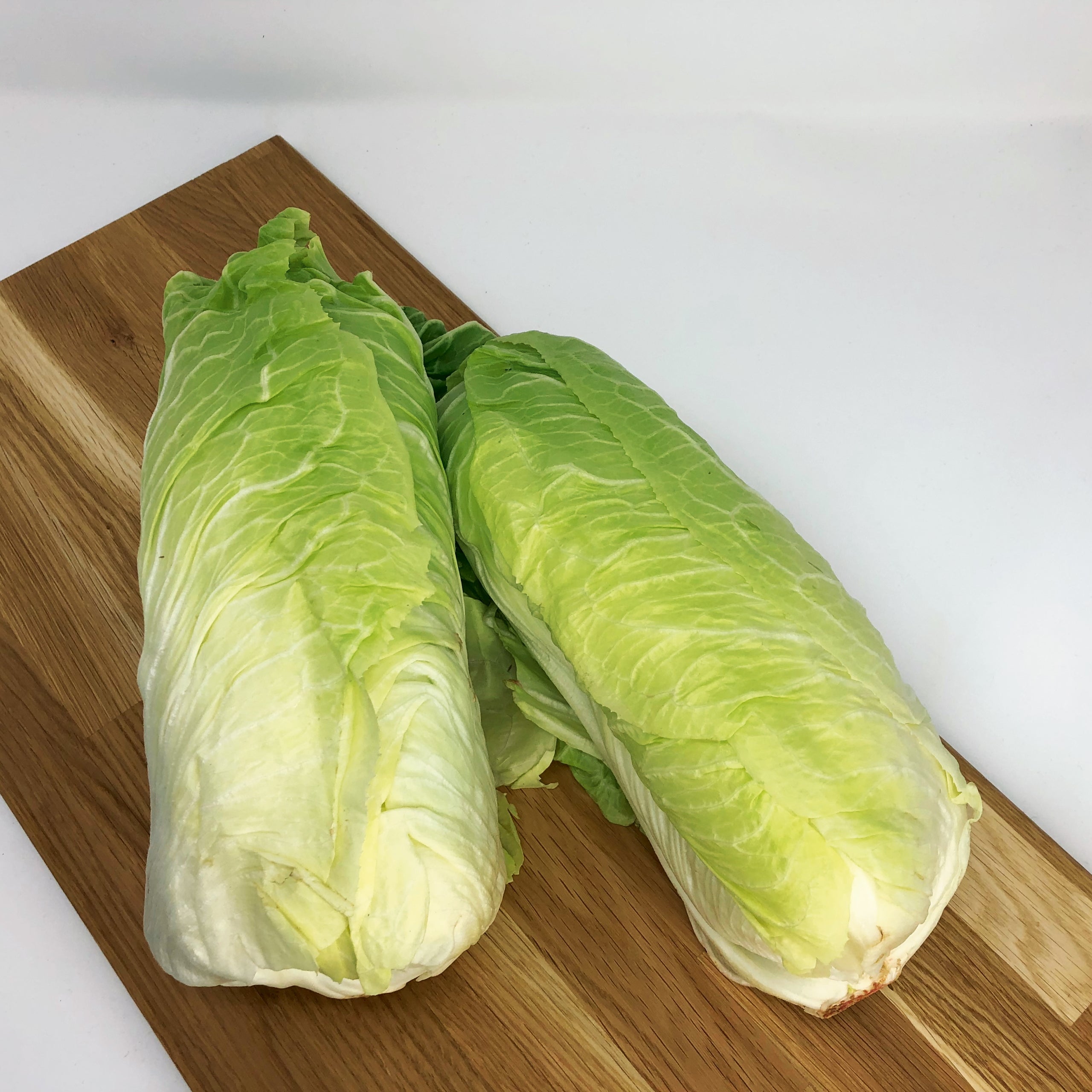 Zichoriensalat Zuckerhut