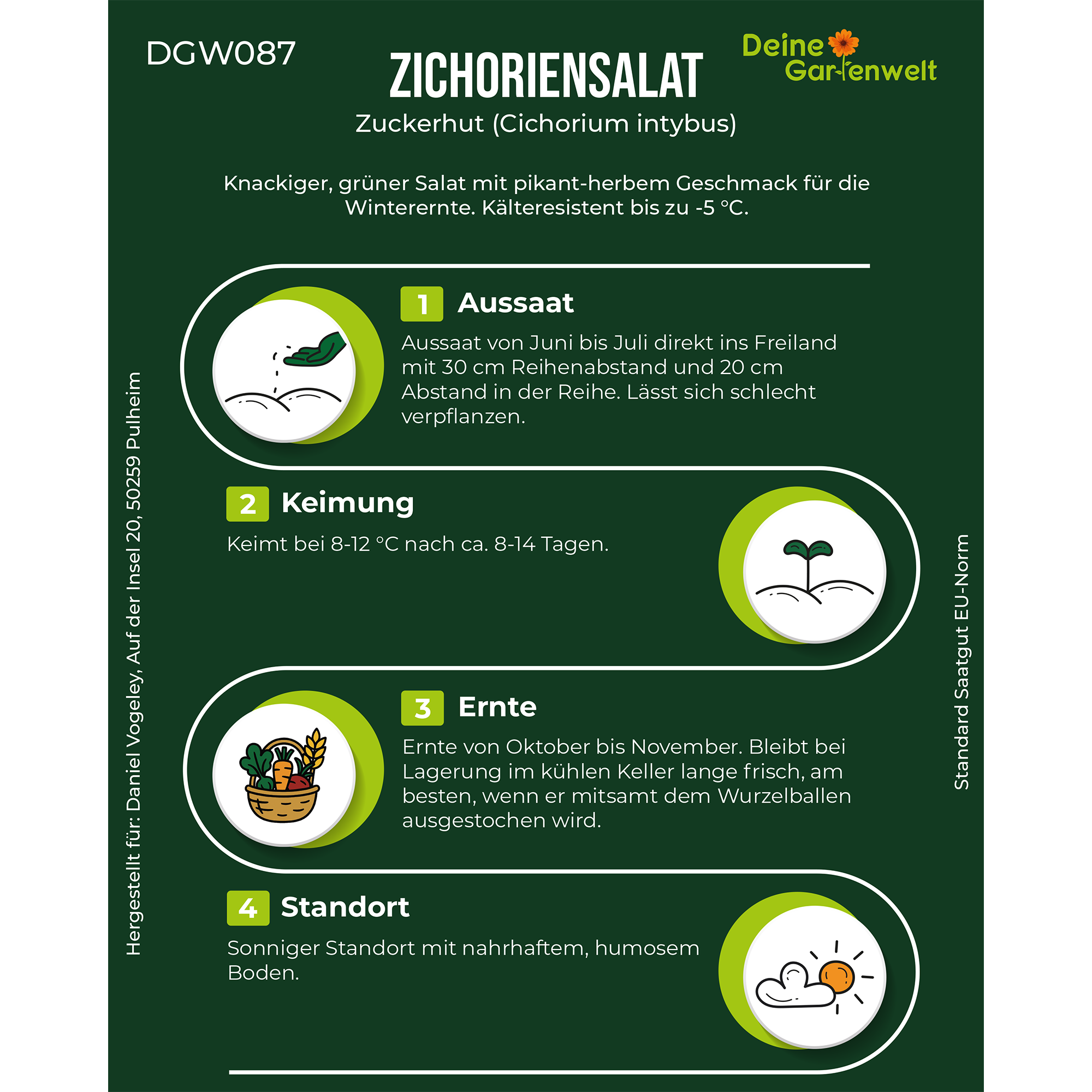 Zichoriensalat Zuckerhut