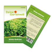 Winterendivien Gialla a cuore