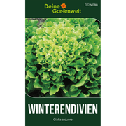 Winterendivien Gialla a cuore