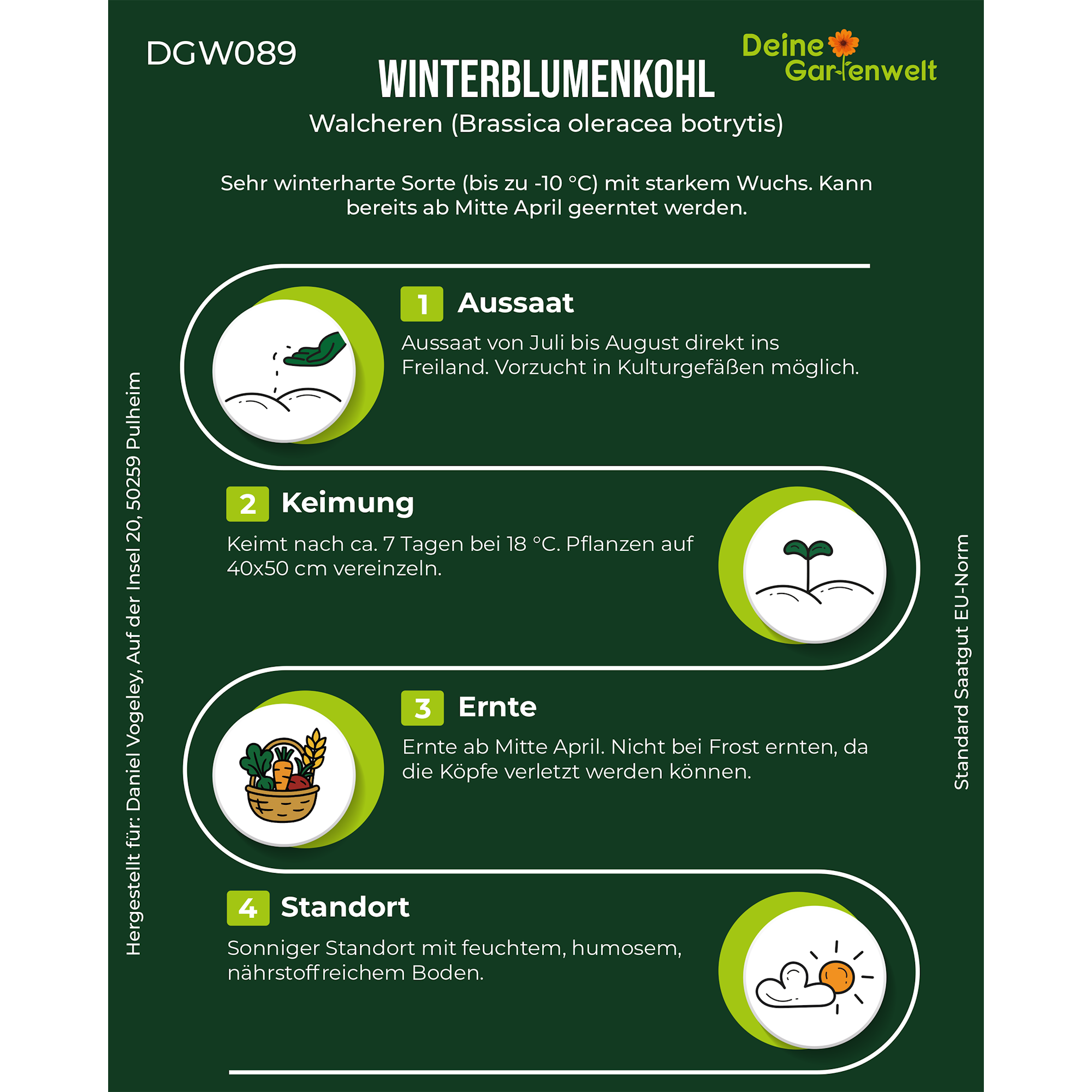 Winterblumenkohl Walcheren