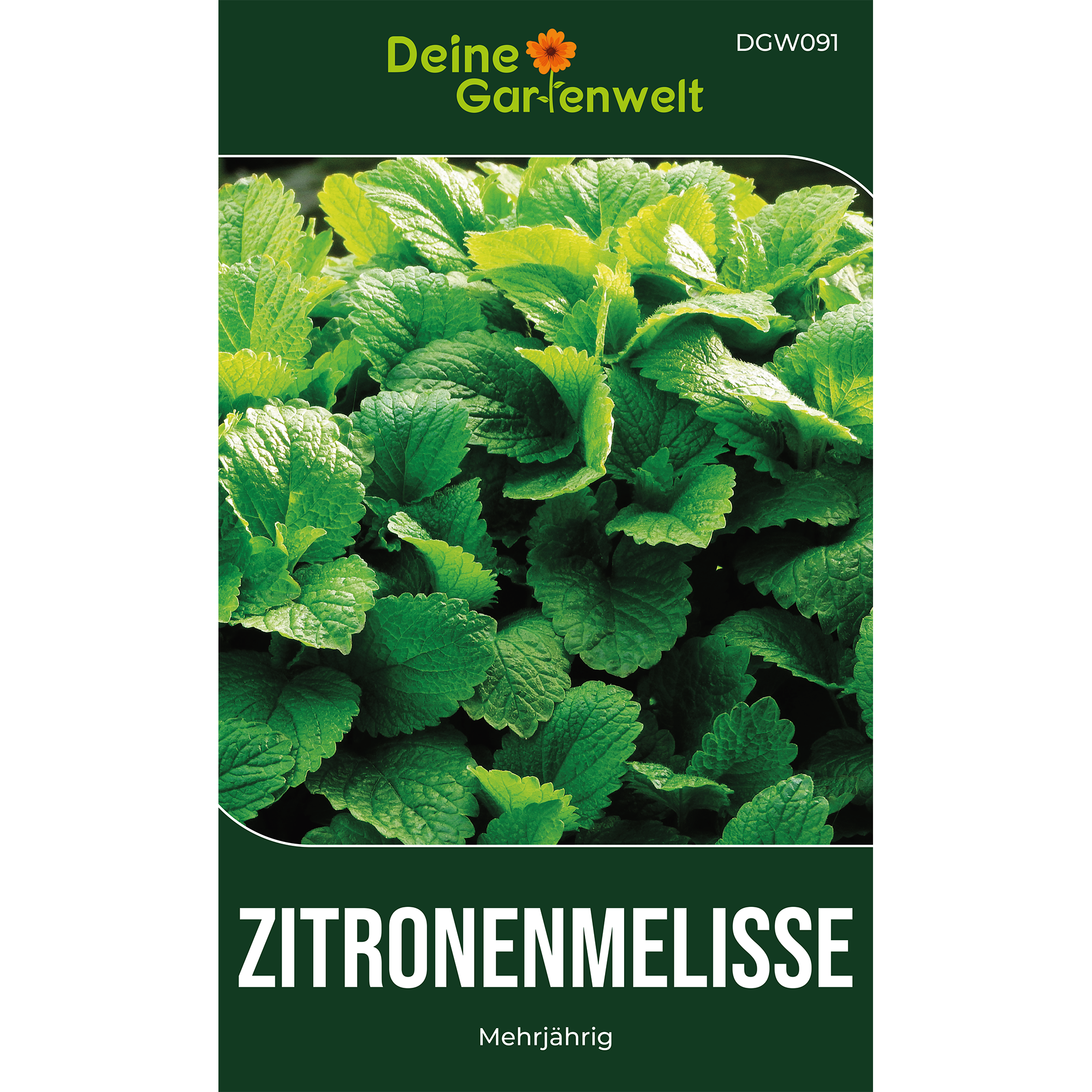 Zitronenmelisse
