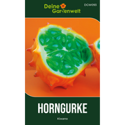 Horngurke Kiwano