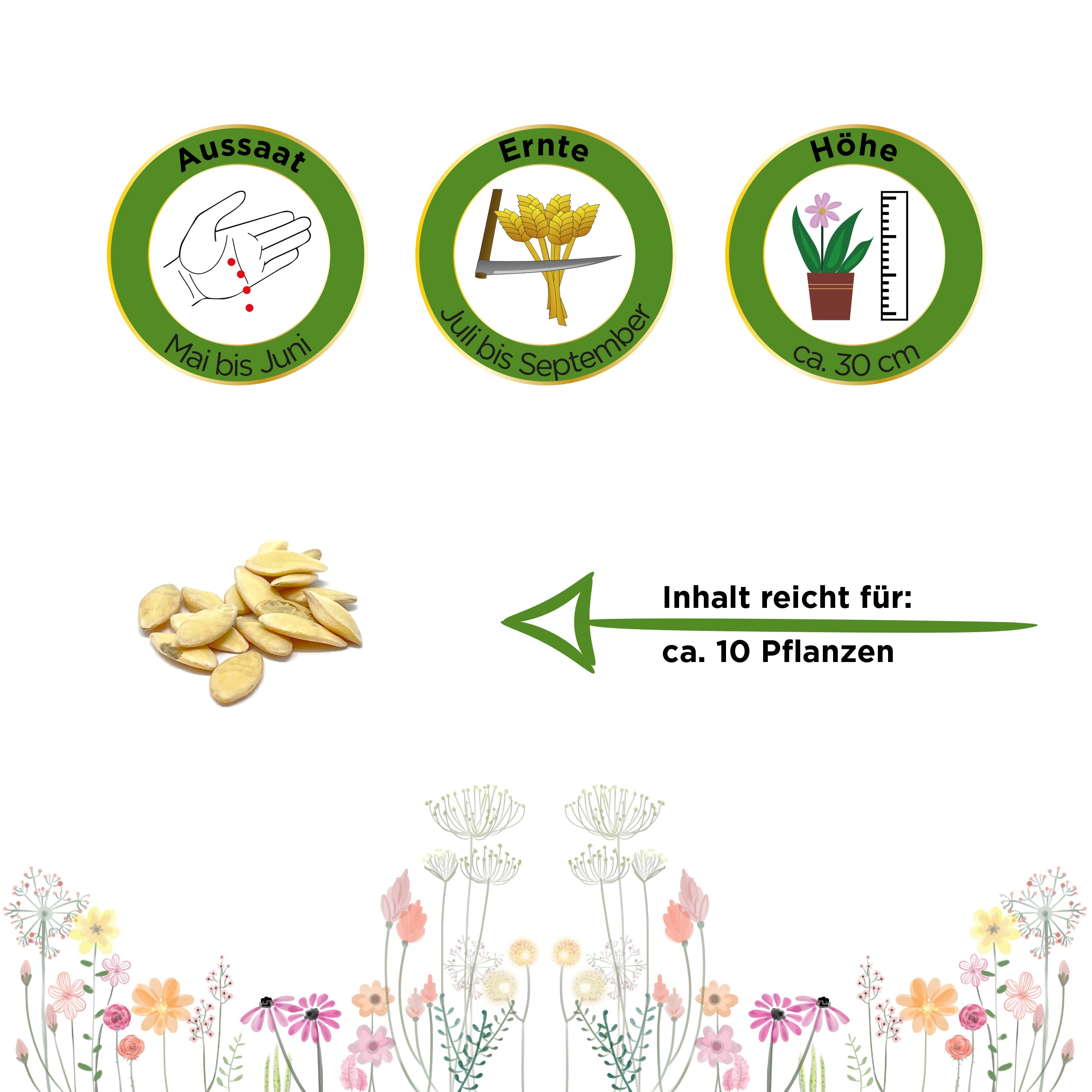 Salat- und Einlegegurken Delikateß