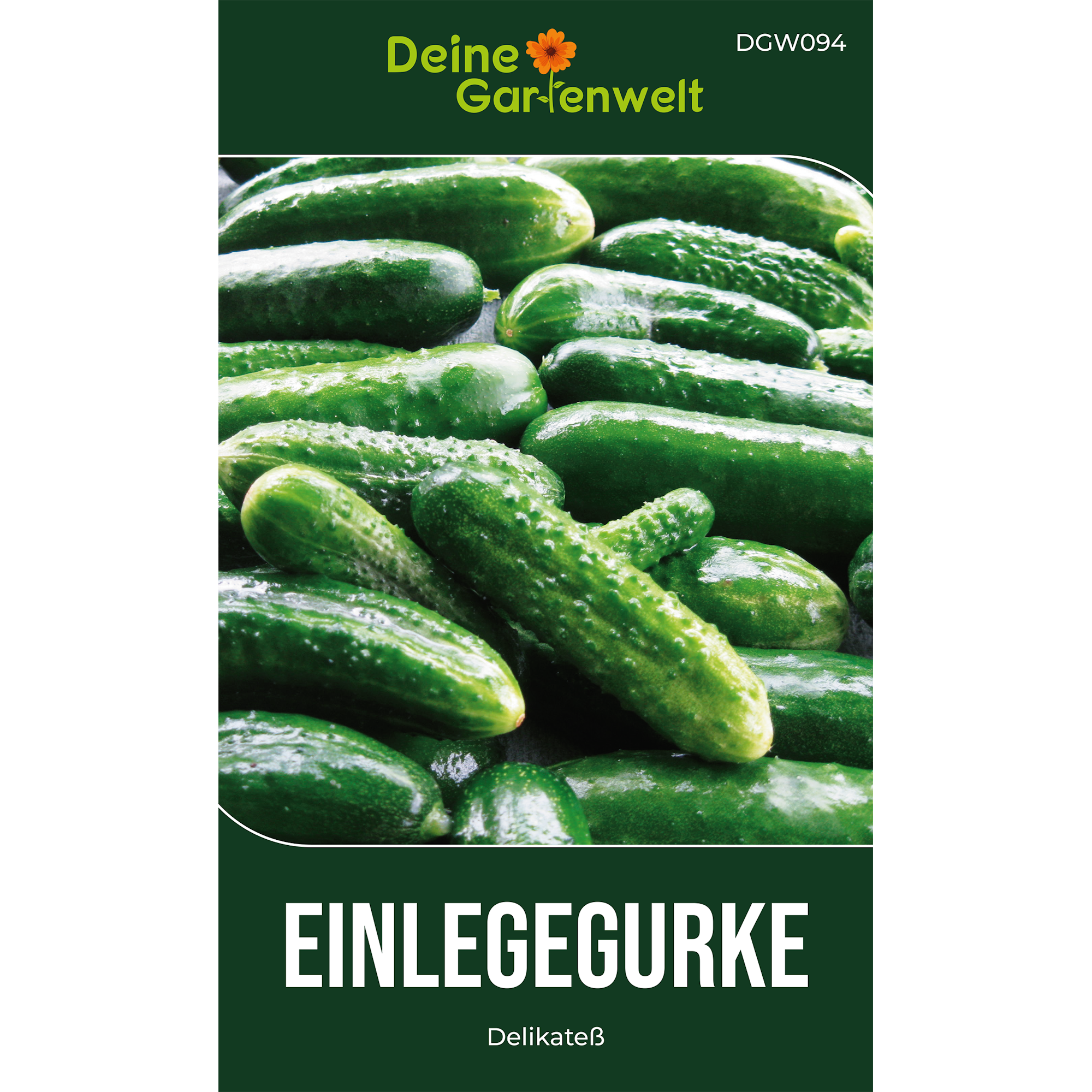 Salat- und Einlegegurken Delikateß