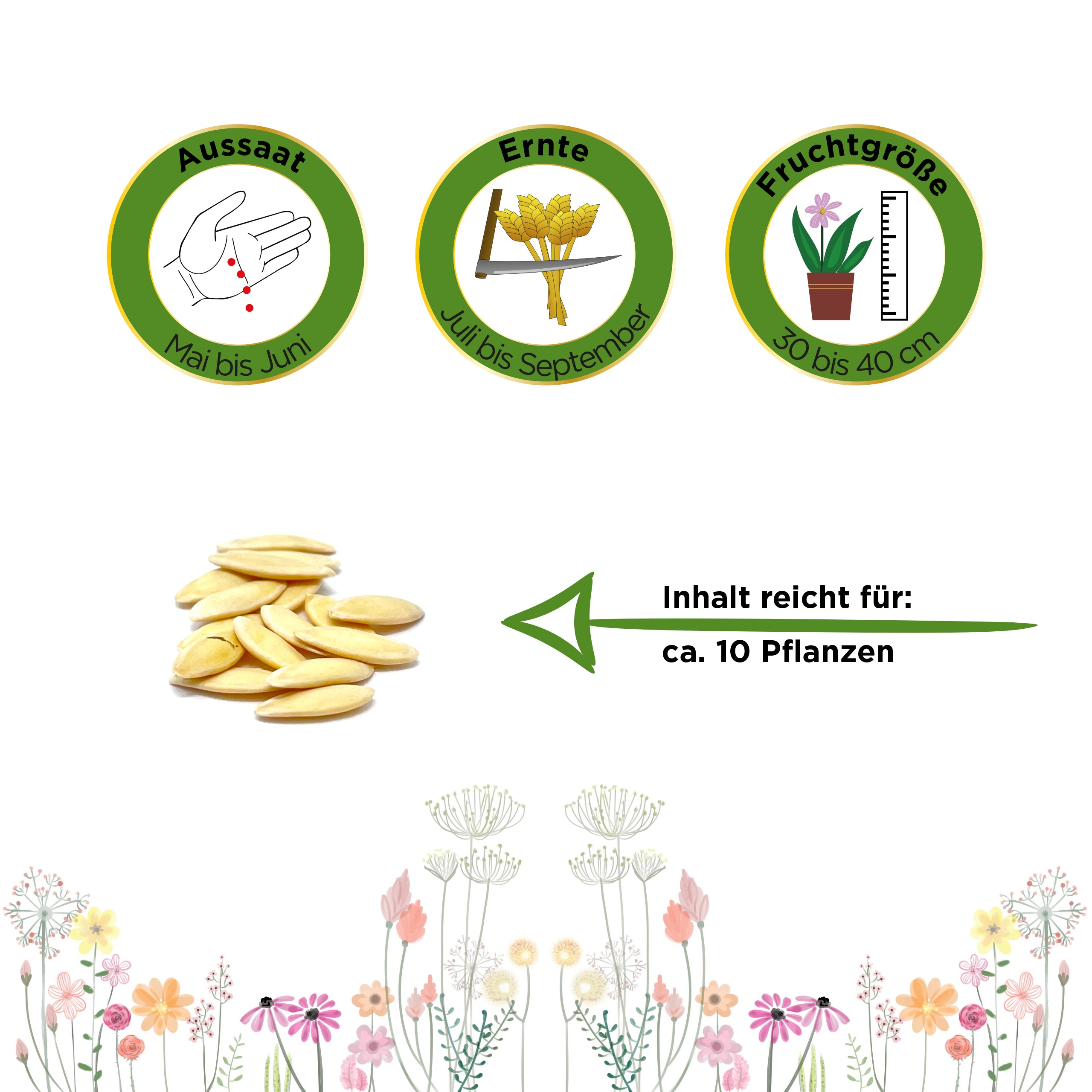 Freilandsalatgurken Chinese Slangen