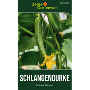 Freilandsalatgurken Chinese Slangen