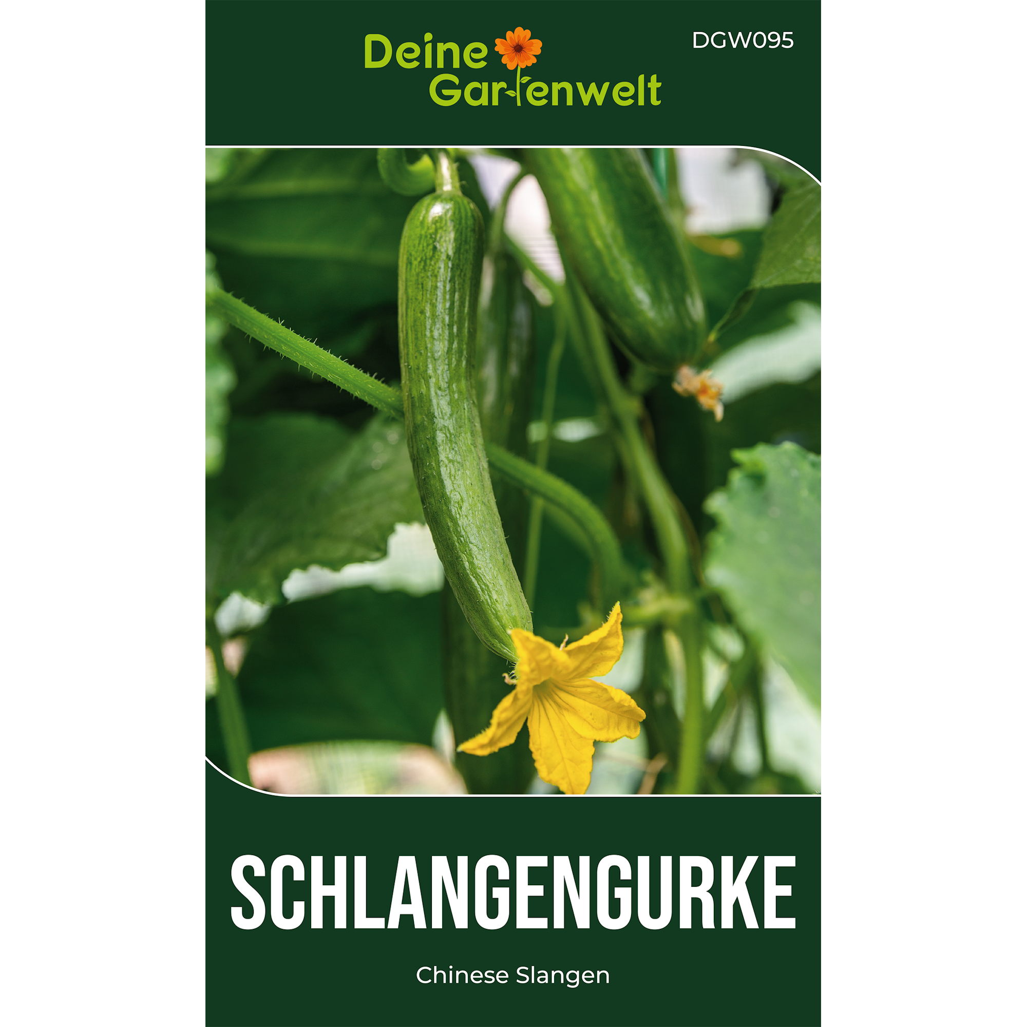 Freilandsalatgurken Chinese Slangen