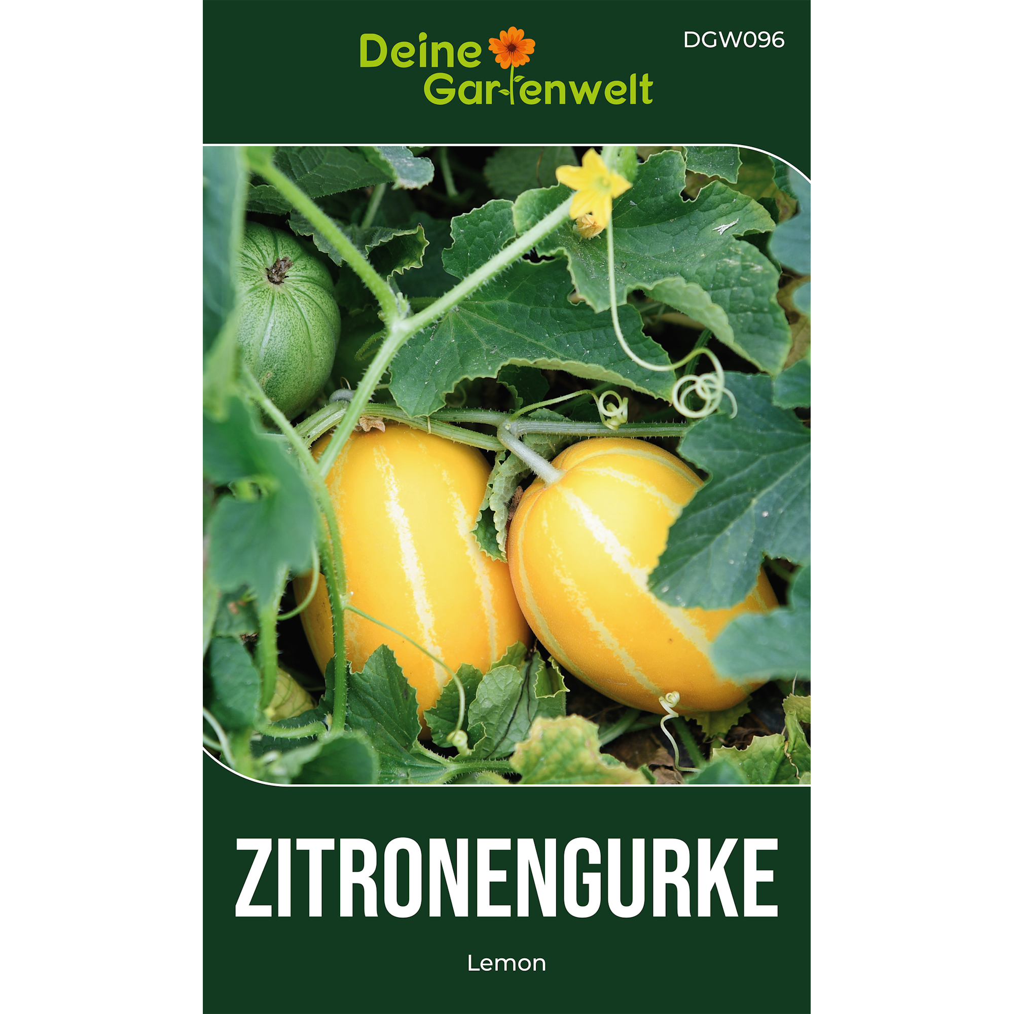 Zitronengurke Lemon
