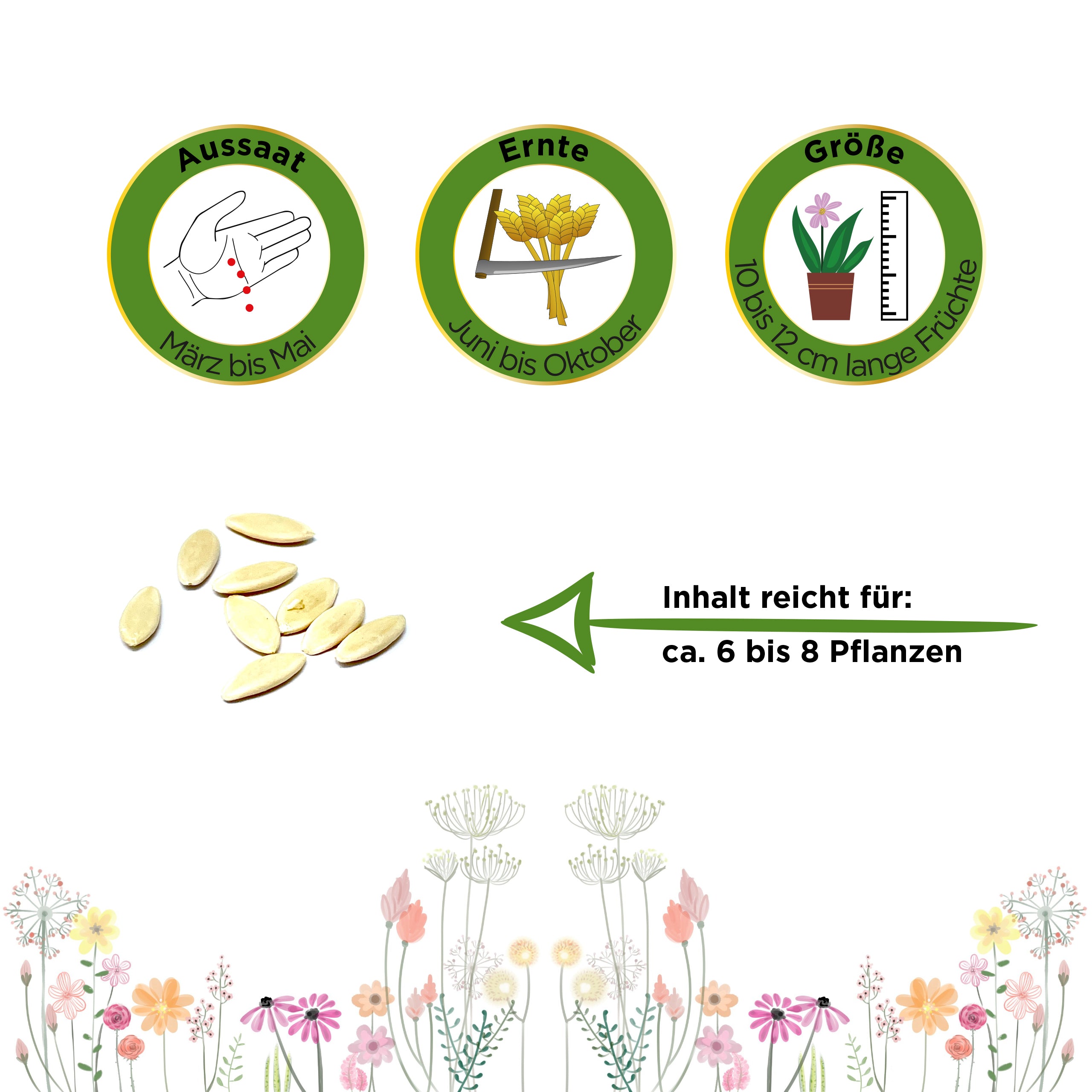 Mini-Snackgurke Salamanda F1