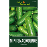 Mini-Snackgurke Salamanda F1
