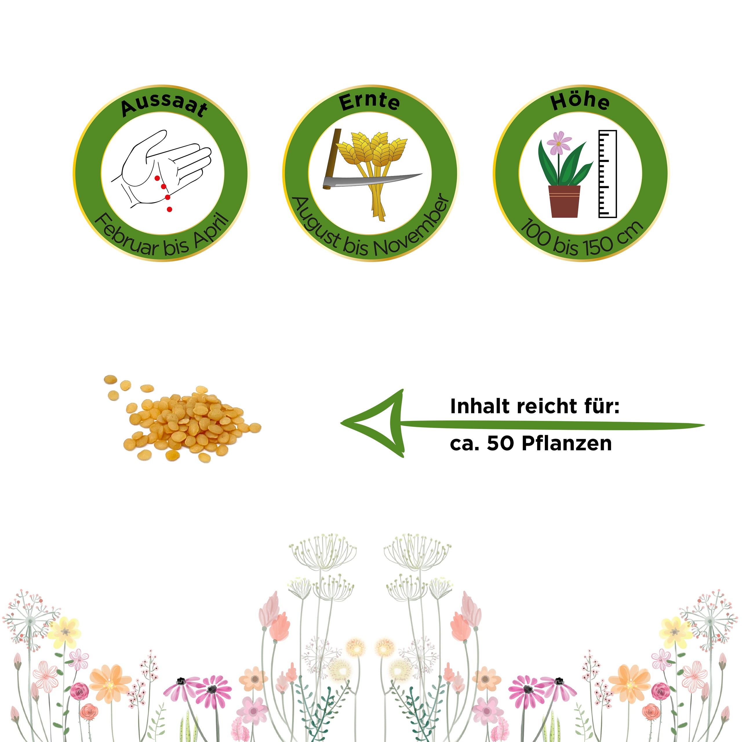 Physalis Andenbeere Kapstachelbeere