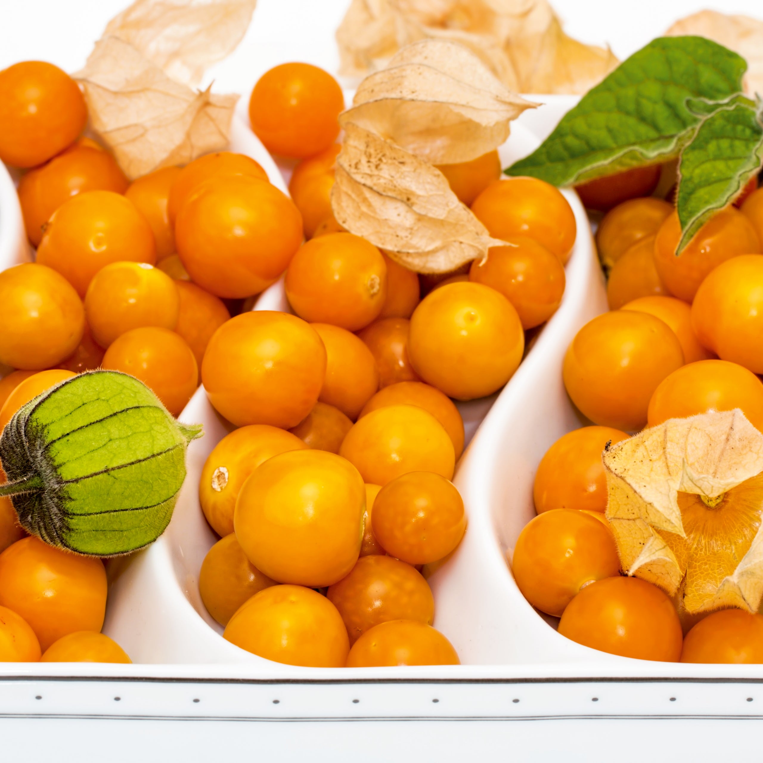 Physalis Andenbeere Kapstachelbeere